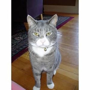 Meet your Posher, Melissaandrobert